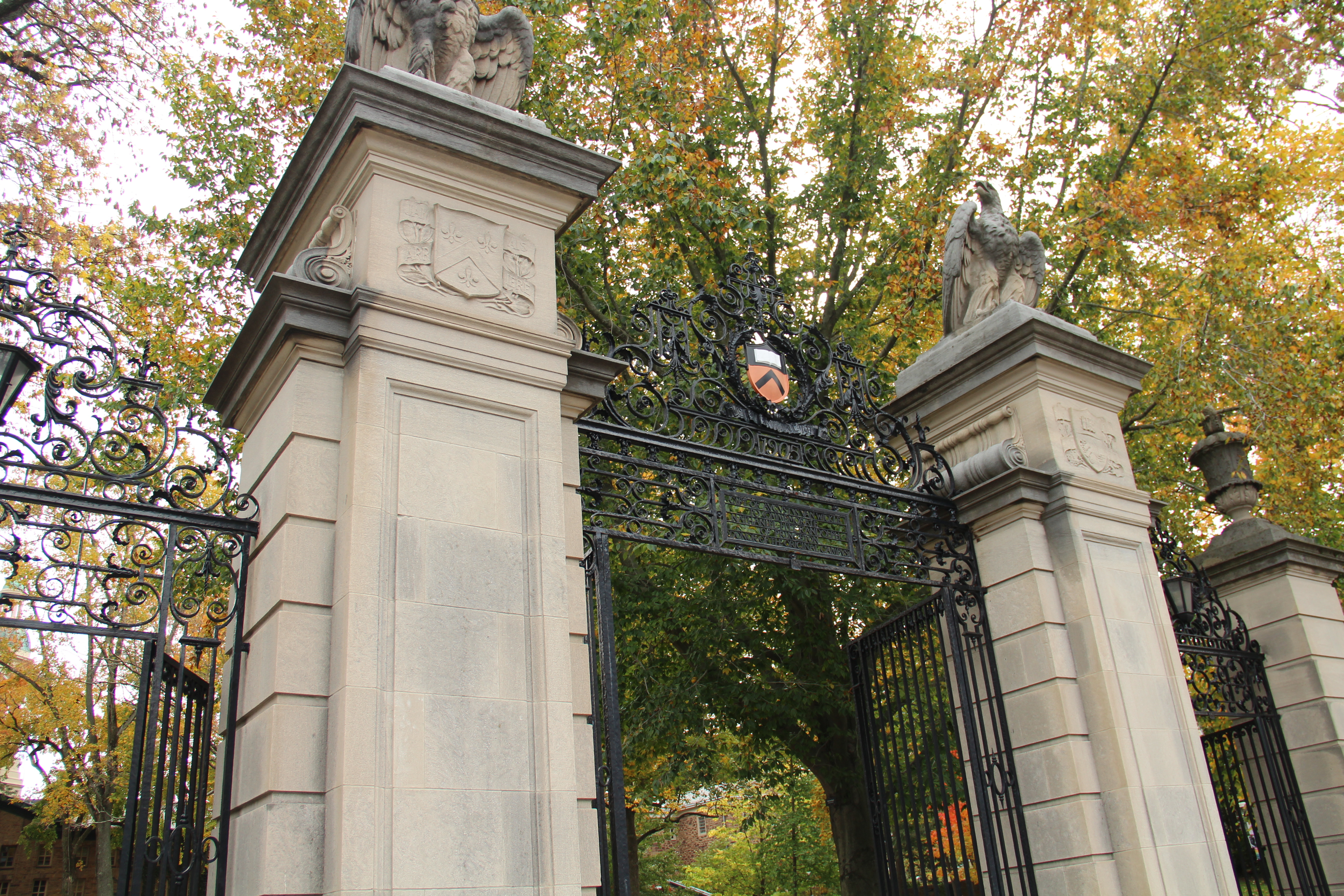 What Doe v. Princeton Means for Title IX Investigations and Hearings